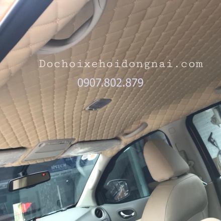 Bọc Trần 5D Cho Xe Nissan Navara giá Tốt Tại Đồng Nai