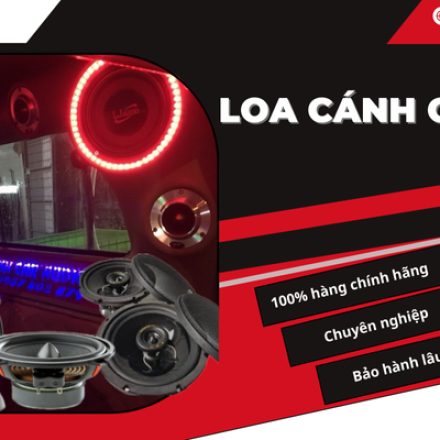 ĐỘ LOA CÁNH CỬA TẠI ĐỒNG NAI